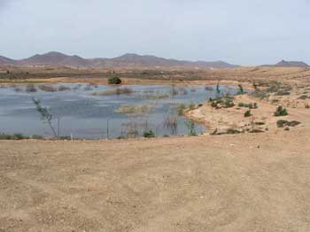 Catalina Garcia wetland