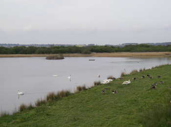 View from new hide nearest Far Ings visitor Centre