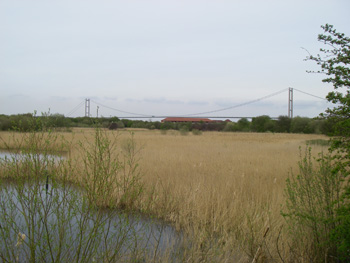 View over Far Ings to Humber Bridge with Reeds Hotel visible in distant foreground