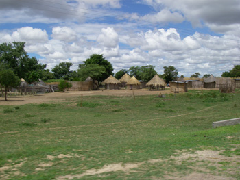 Typical landscape in the Kavango region