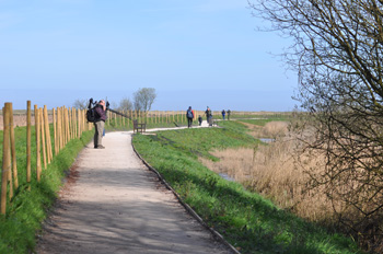 Access path at Titchwell