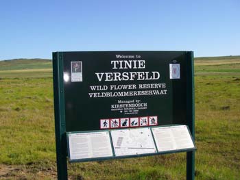 Tinie Versfeld Wildflower Reserve Darling