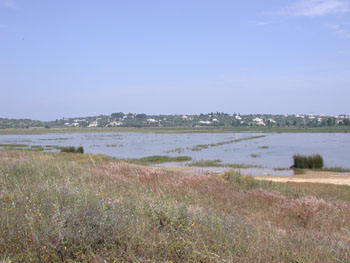 Pera Marsh Portugal
