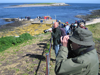 Birdwatching on the Farne Islands