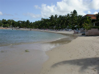 Coco Reef Beach