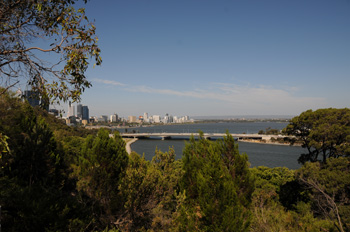 King's Park Perth