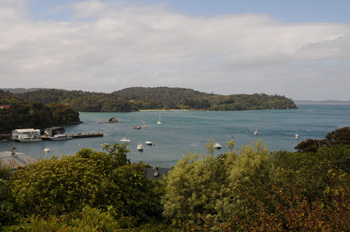 Oban Harbour Stewart Island