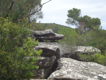 Rock formation looking almost like a dinosaur in Royal National Park Sydney at Wattamolla Beach