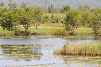 Cattana Wetland Reserve