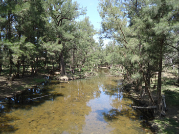 Creek in Glen Alice
