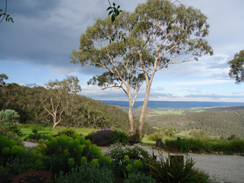 Having enjoyed views like this from the front door at Kookawood we were sorry to leave