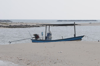 Our transport to the sandspit