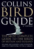 Buy Collins Bird Guide from Amazon