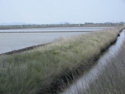 Pomorie Salt Pans