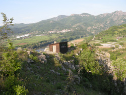 Vulture Bird Hide