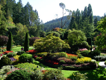 The magnificent sunken garden at Butchart Gardens