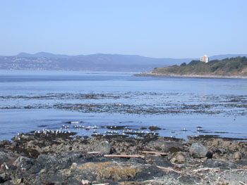 Clover Point