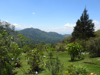 Bosque del Tolomuco