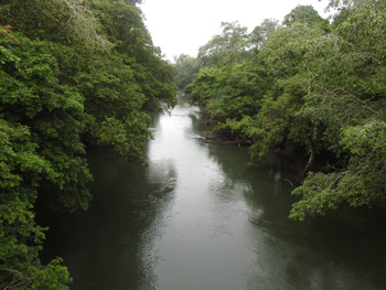 View from the Stone Bridge at La Selva