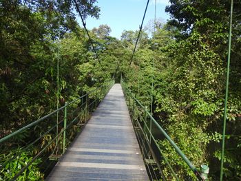 The Stone Brigde at La Selva