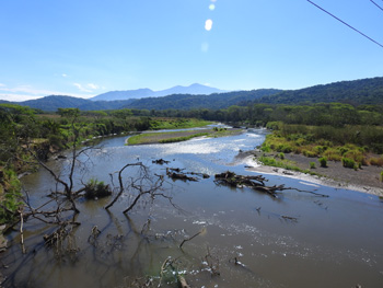 Tarcloes River from the road bridge