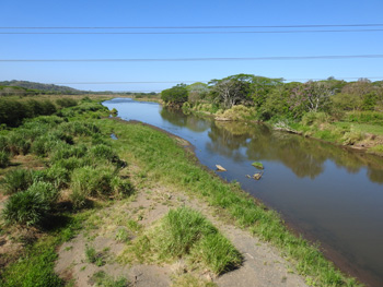 Tarcoles River heading towards the coast from the road bridge