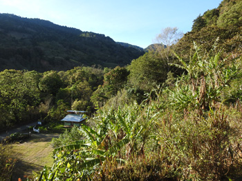 View from or balconay at Toucanet Lodge