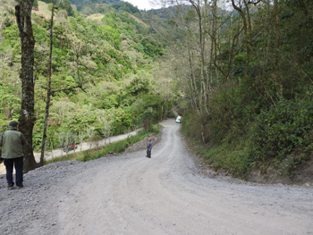 Toucanet Lodge area - rather steep hill we walked up