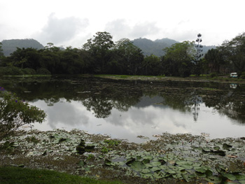 Tropical Agricultural Research and Education Centre