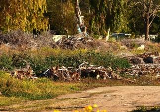 Hotel Green Waste