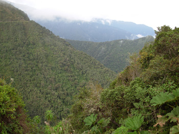 Area around Yanacocha Hummingbird Reserve
