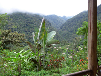 View from San Jorge de Tandayapa Hummingbird Reserve Lodge
