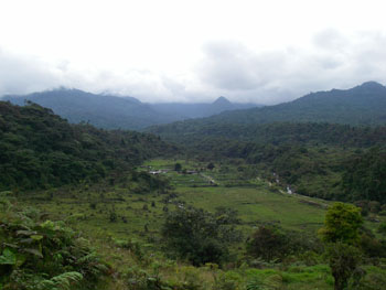 Typical scenery near San Isidro