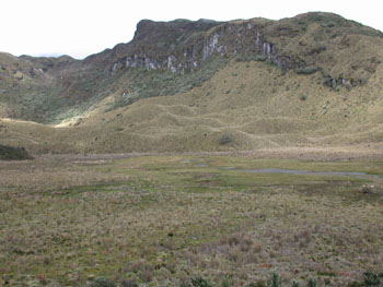 High Paramo at Papallacta Pass