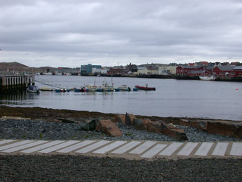 Vardo Harbour