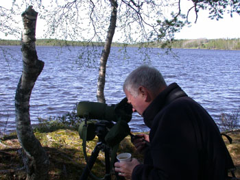 Trying not to let lunch interfere with birding at a Lake near the Russian Border