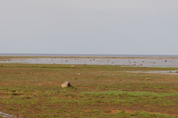 Stretch of Liminka Bay south of Oulu