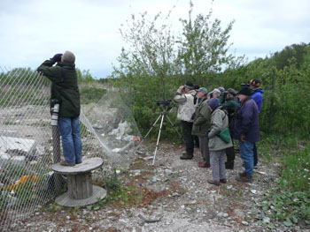 Group eagerly awaiting appearance of an Eagle Owl at Oulu rubbish tip © Simon Linnington