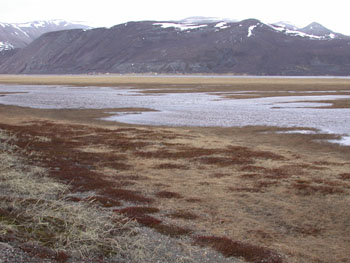 Typical scenery at Tanamunningen Nature Reserve