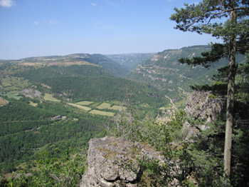 Overlooking the Gorges de Trevezel
