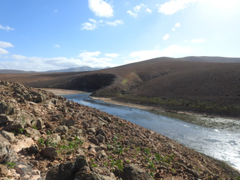 Los Molinos reservoir looking south towards the inlet
