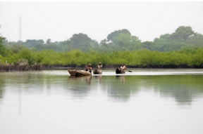 Canoes at Mandina Lodge