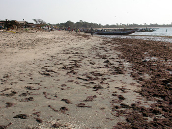 Tanji beach
