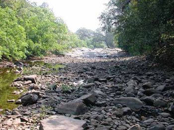 Backwoods dried up river bed