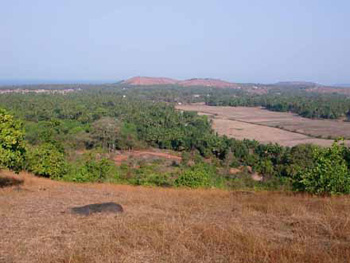 Looking north from Baga Hill