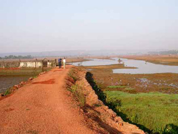 Mud flats near Carambolin Lake