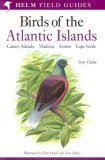 Buy Birds of the Atlantic Islands from Amazon