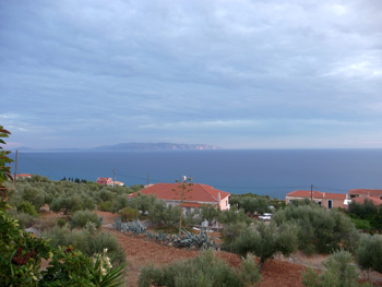 View from the balcony with olive grove & Zante