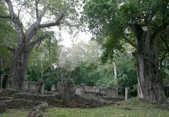 Gede Ruins