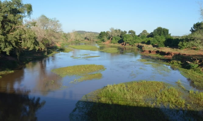 Northern Kruger